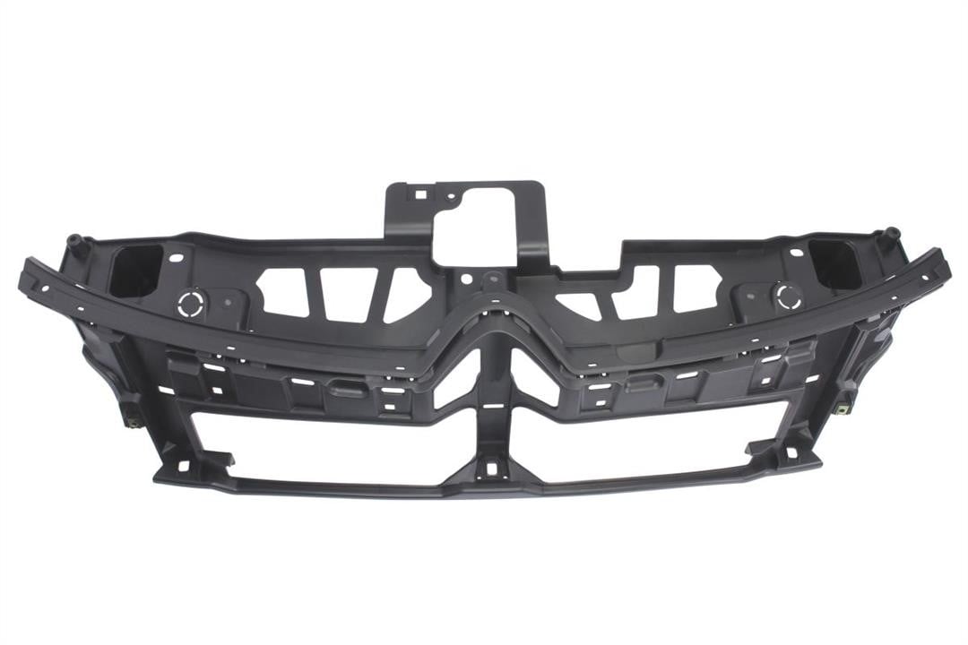 Front panel Citroen C4: 6502070538996P Blic Front panel