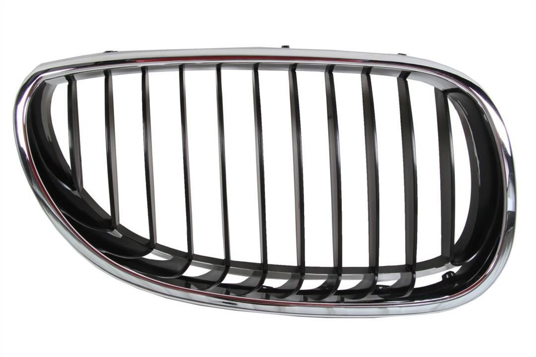 6502070066992P Blic Grille radiator