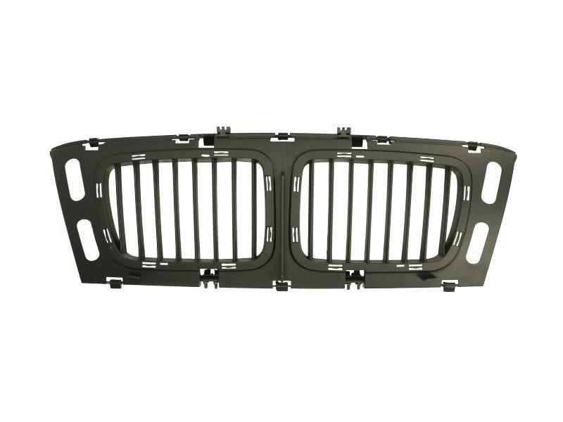 6502070057999P Blic Grille radiator