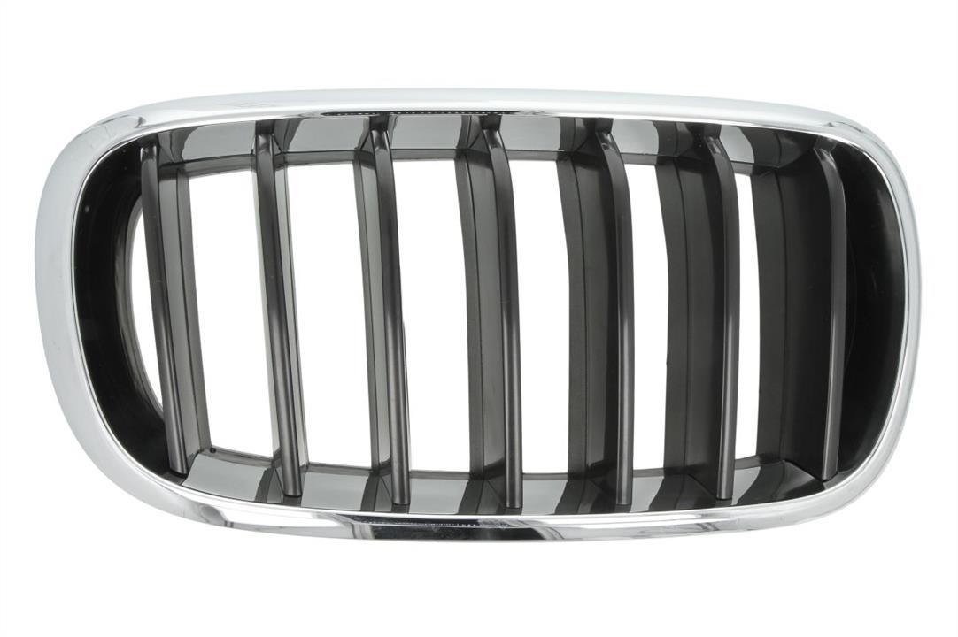 Radiator grill BMW X5: 65020700969922P Blic Grille radiator