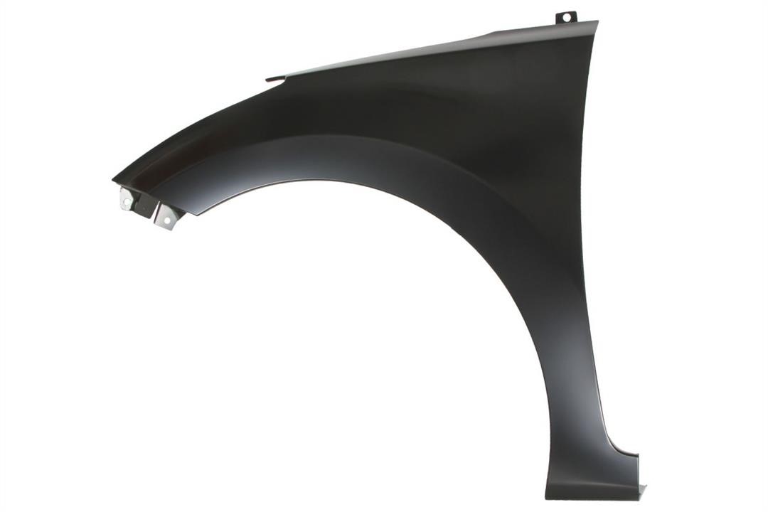 6504043171311P Blic Front fender left