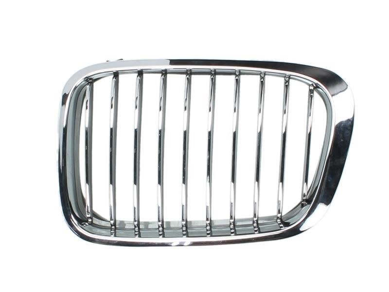 Blic 6502-07-0061991P Grille radiator 6502070061991P