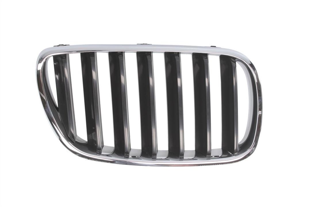 65020700939920P Blic Grille radiator