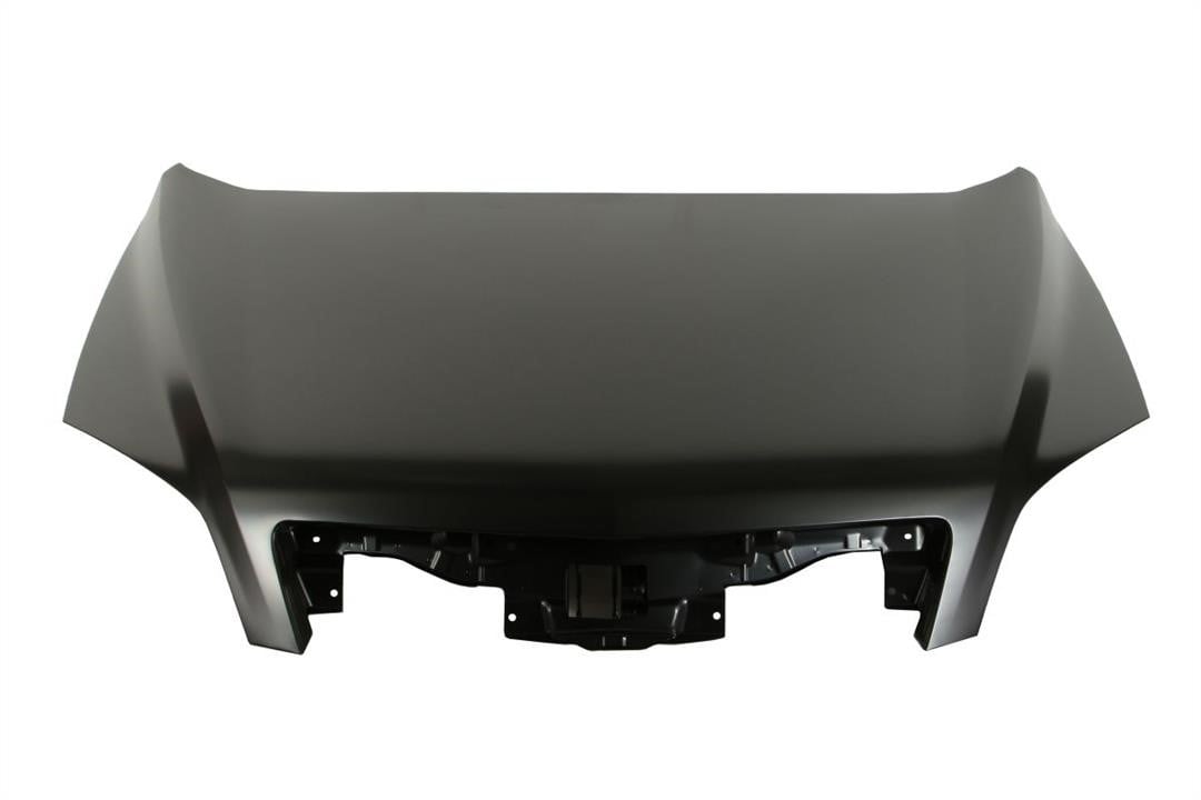 6803005099280P Blic Hood