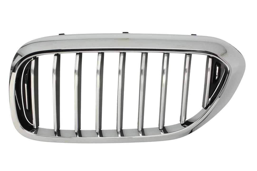 Blic 6502-07-0068995P Grille radiator 6502070068995P