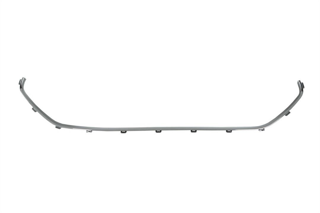 Bumper moulding Citroen C3: 5513000531996P Blic Trim bumper