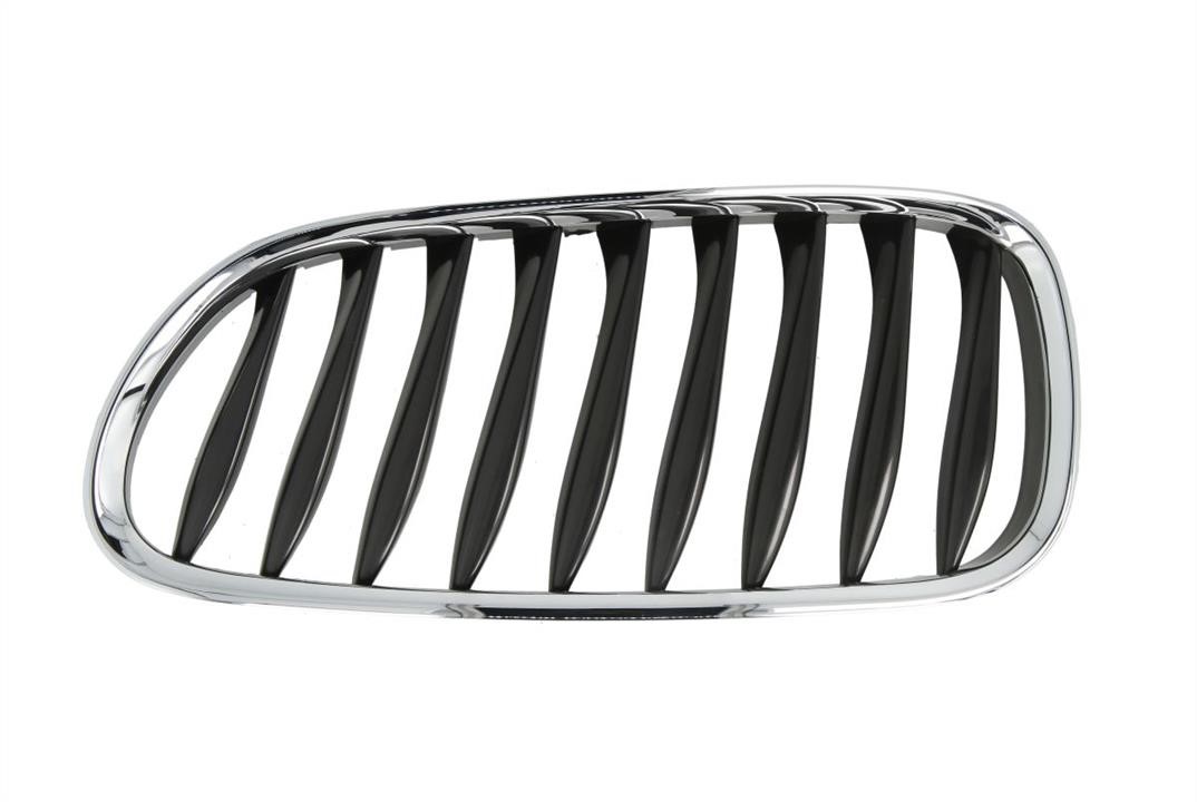 6502070089991P Blic Grille radiator