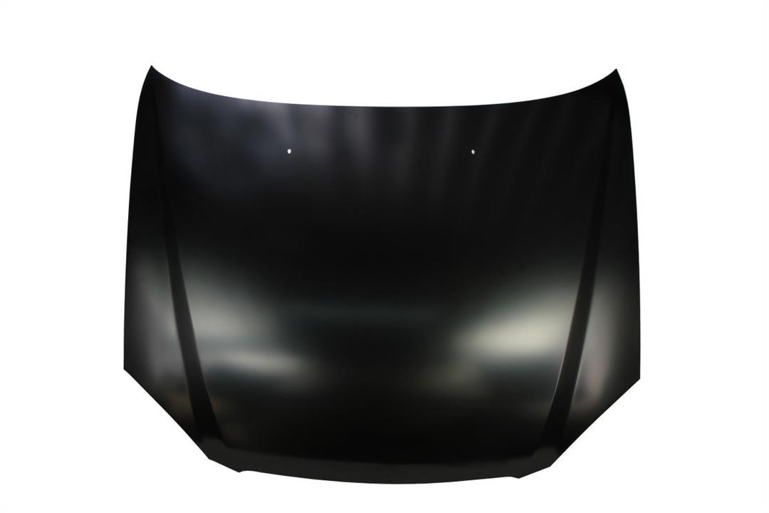 6803001132281P Blic Hood