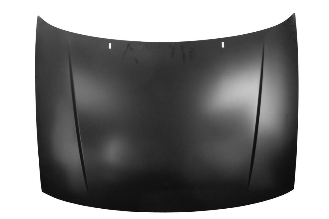 6803009504280P Blic Hood