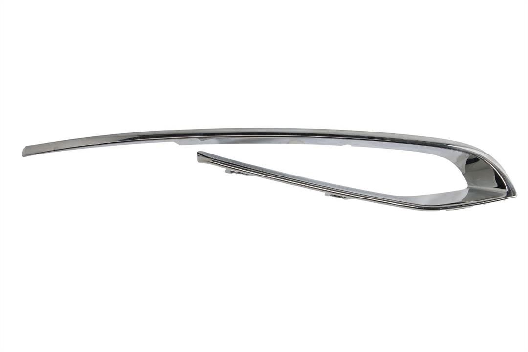 Bumper moulding BMW 5 series: 6502070067928LP Blic Trim front bumper right