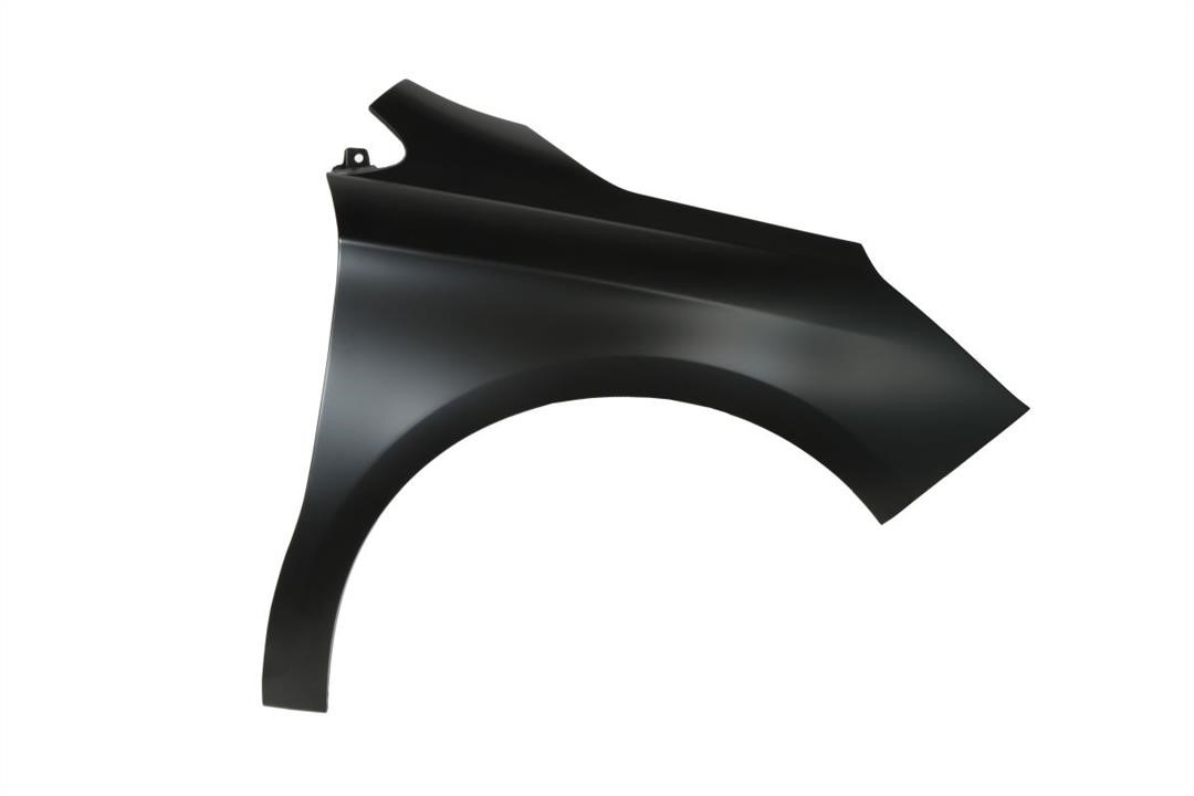 Front fender Citroen C4: 6504040537314P Blic Front fender right