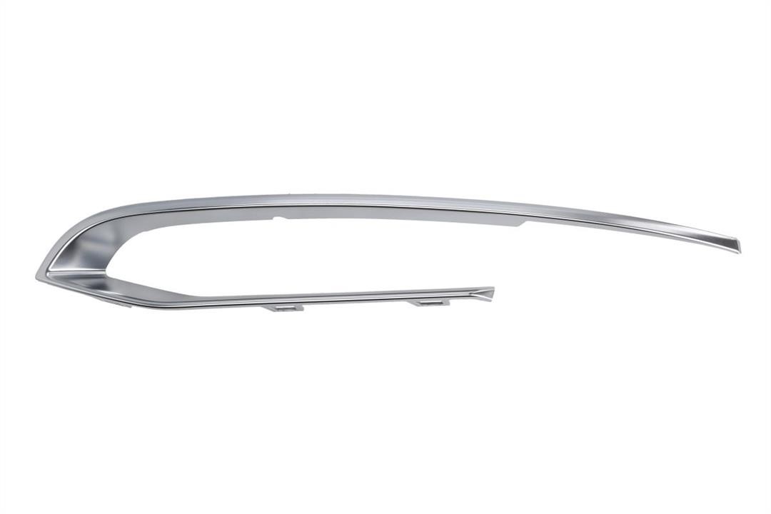 Bumper moulding BMW: 6502070067921PF Blic Trim front bumper left
