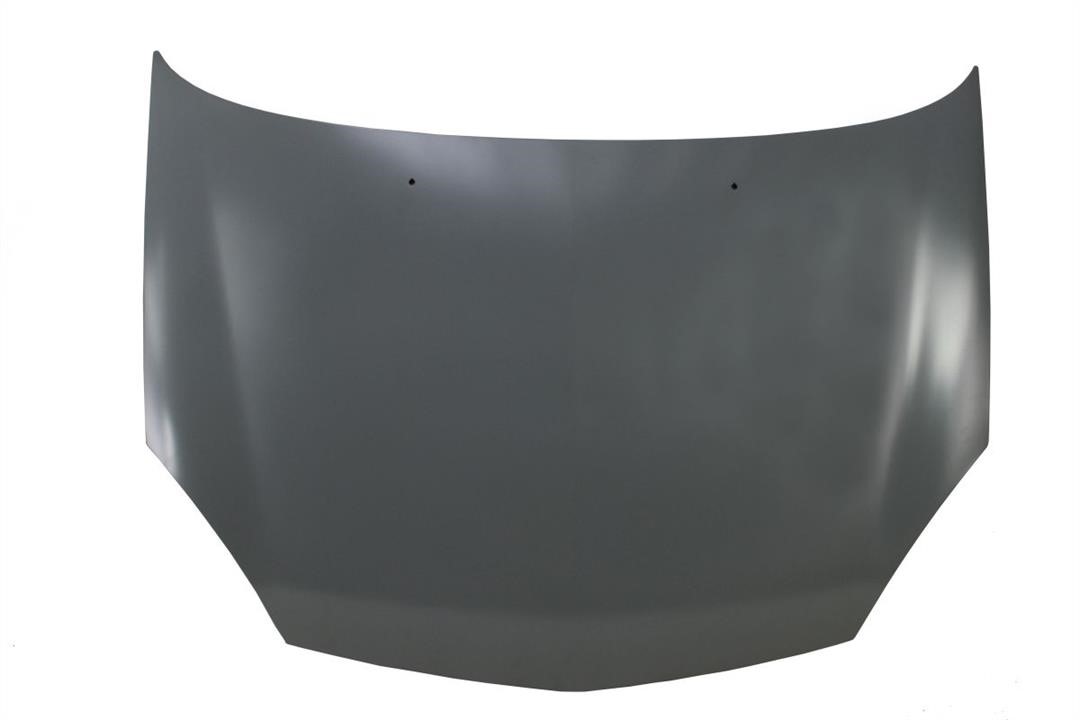 Car hood Renault Clio: 6803006032281P Blic Hood
