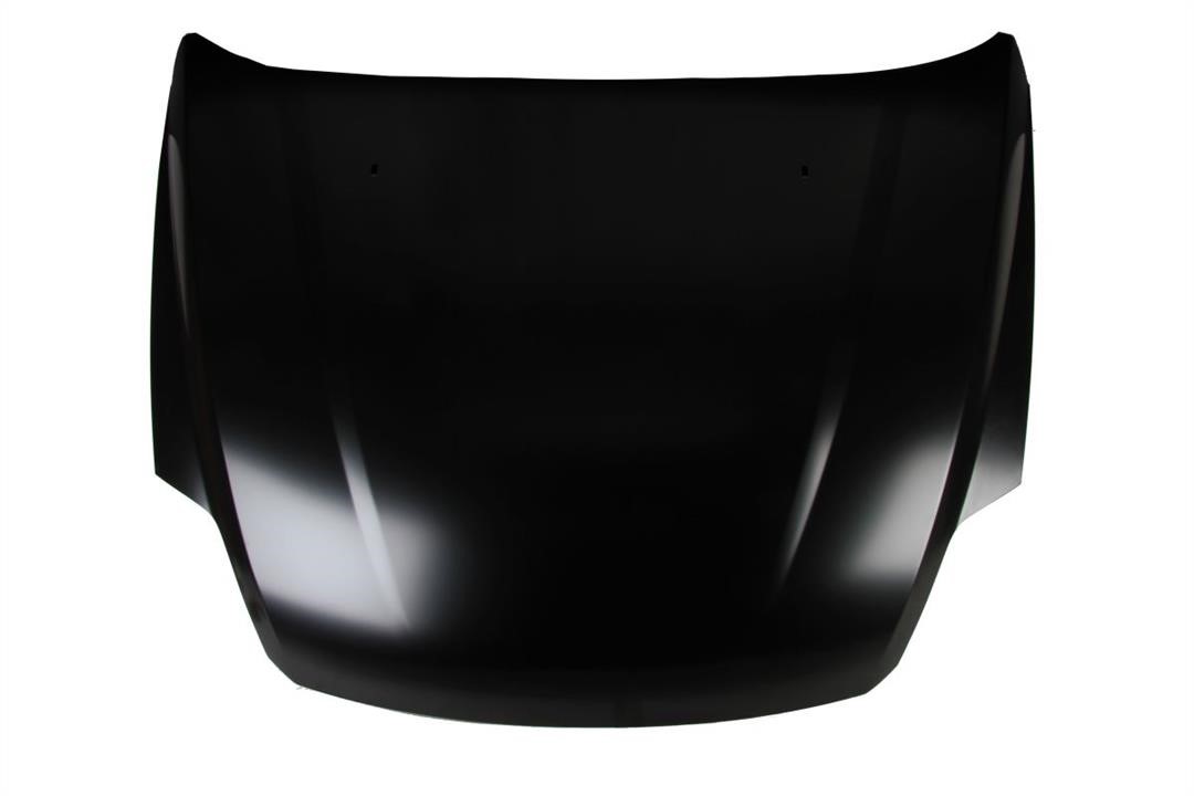 6803002911281P Blic Hood