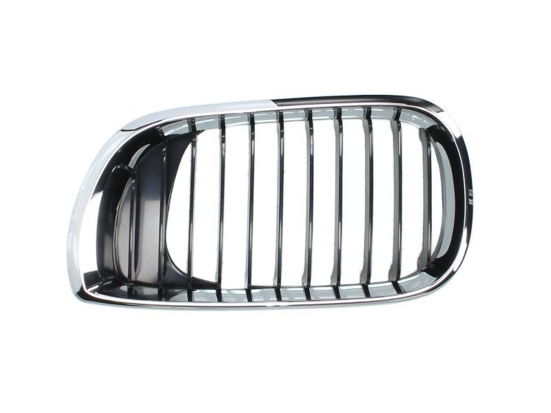 6502070061991AP Blic Grille radiator