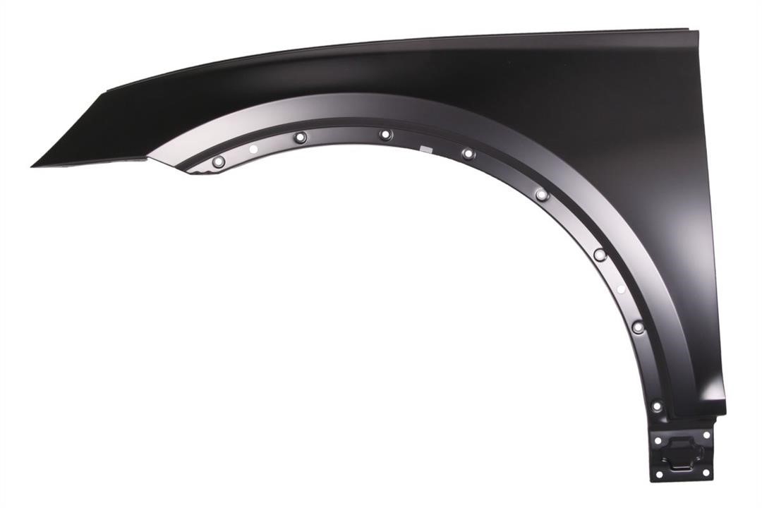 Front wing fender Audi Q5: 6504040036311P Blic Front fender