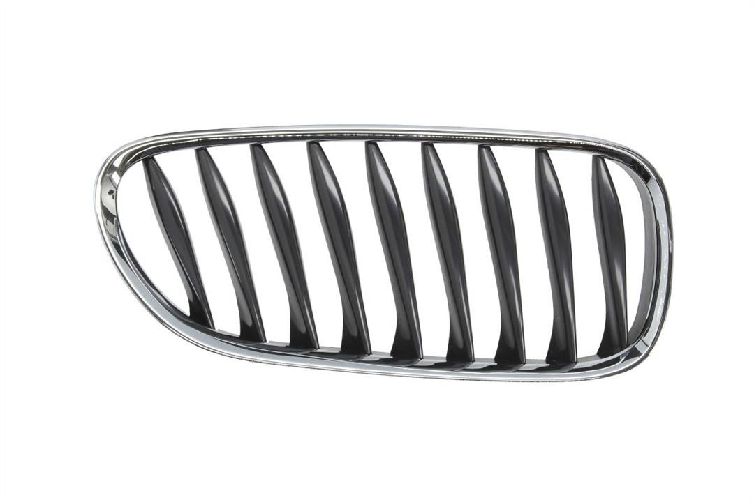 6502070089992P Blic Grille radiator