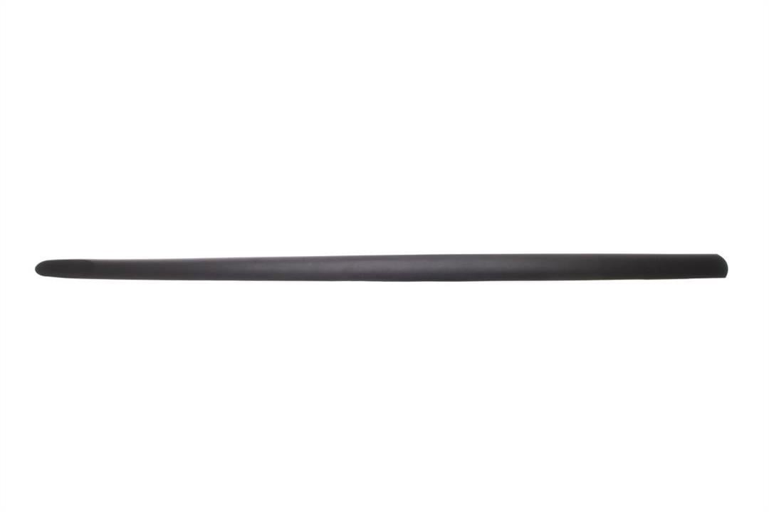 Door moulding Opel Combo: 5703045022572P Blic Door trim