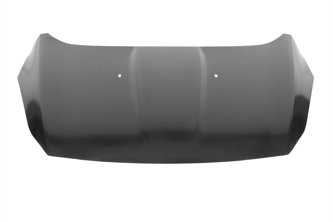 6803002579280P Blic Hood