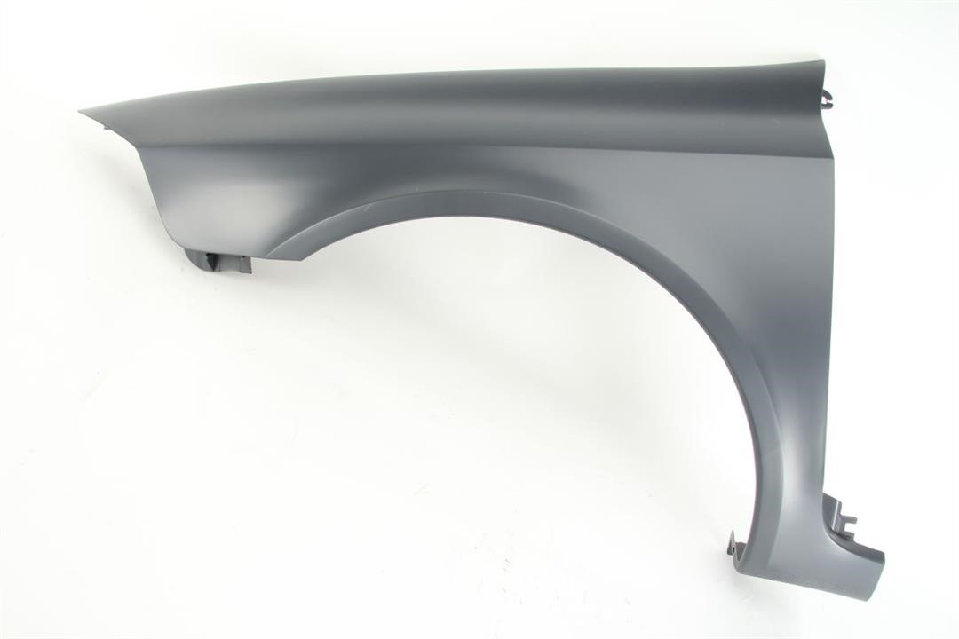 Front wing panel Renault: 6504046055313P Blic Front fender left