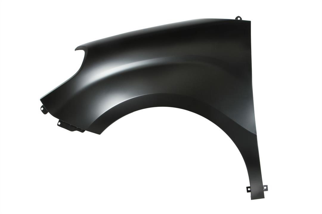 Front fender Fiat Doblo: 6504042043313P Blic Front fender