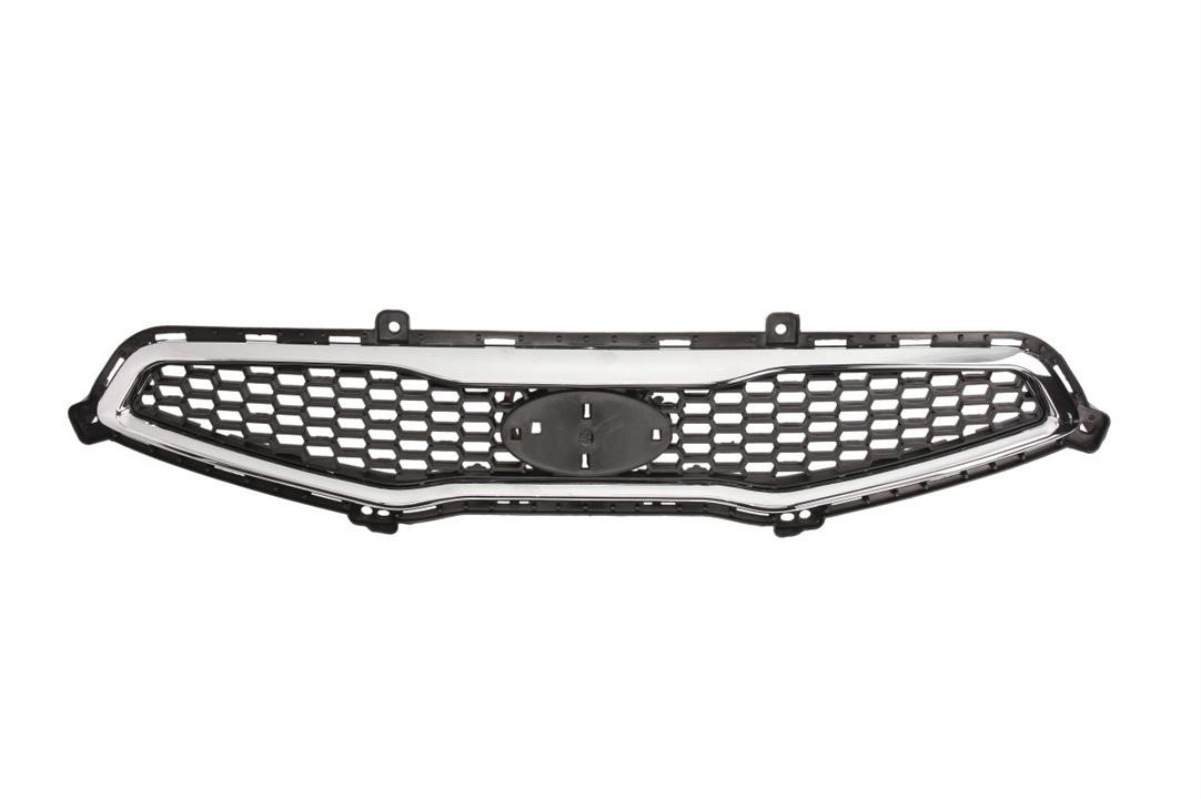 Blic 6502-07-3266990P Grille radiator 6502073266990P