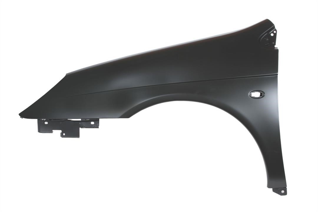 Front wing panel Citroen C5: 6504040524311P Blic Front fender left