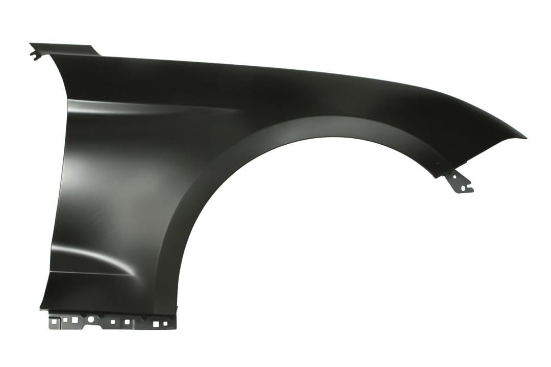 Front wing fender Ford USA: 6504042589314P Blic Front fender