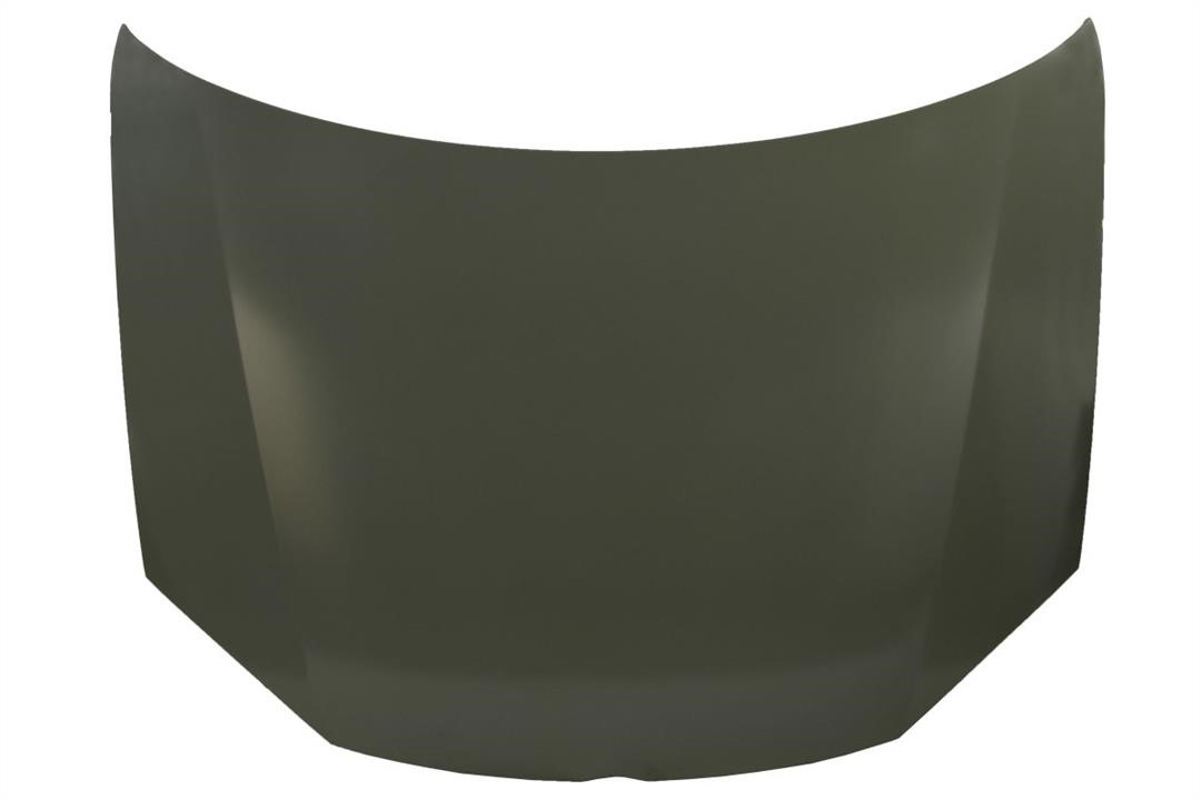 6803009524280P Blic Hood