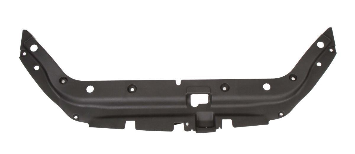 Front panel Toyota: 6502038179203P Blic Front panel