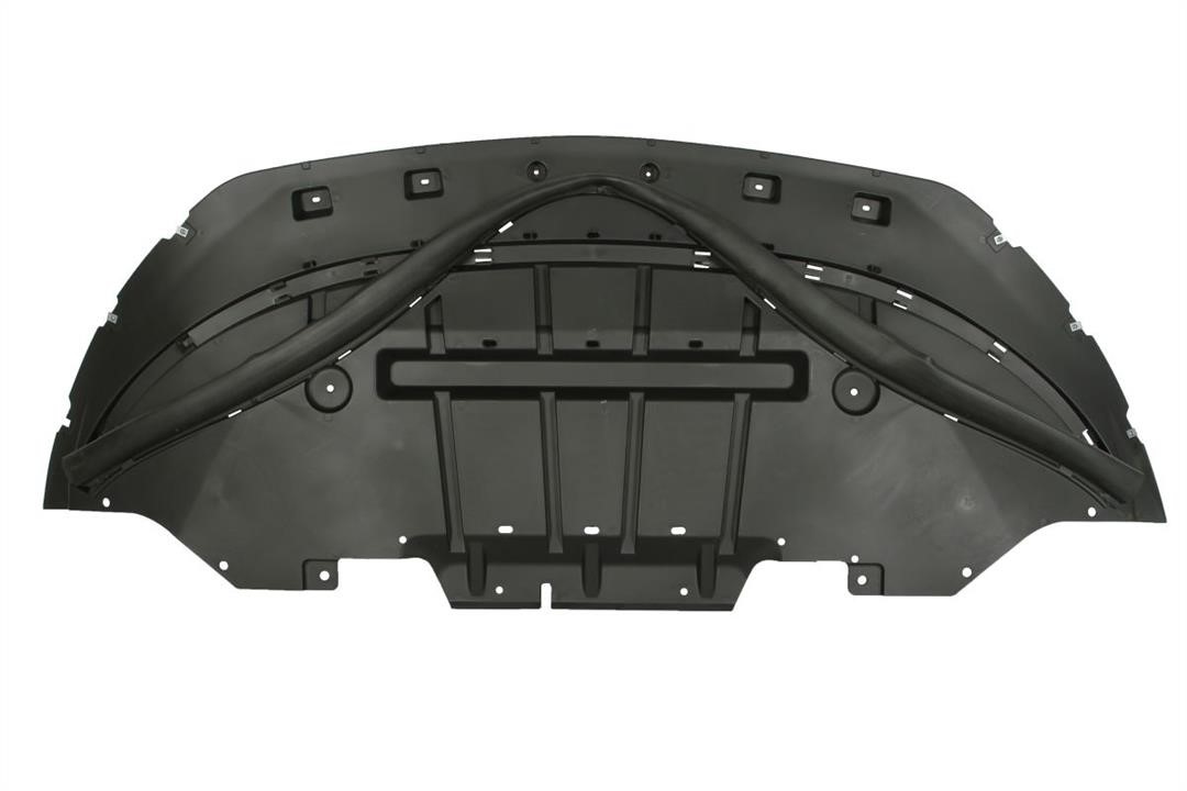 6601022586881P Blic Engine protection