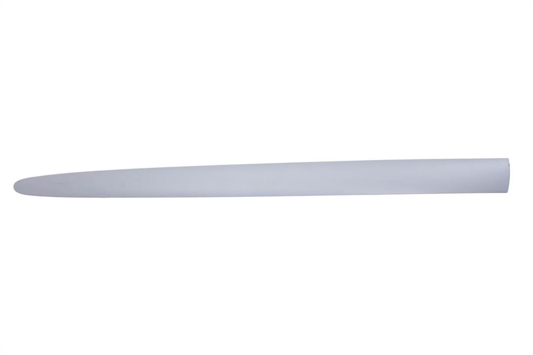 Door moulding Fiat Multipla: 5703042045575P Blic Door trim