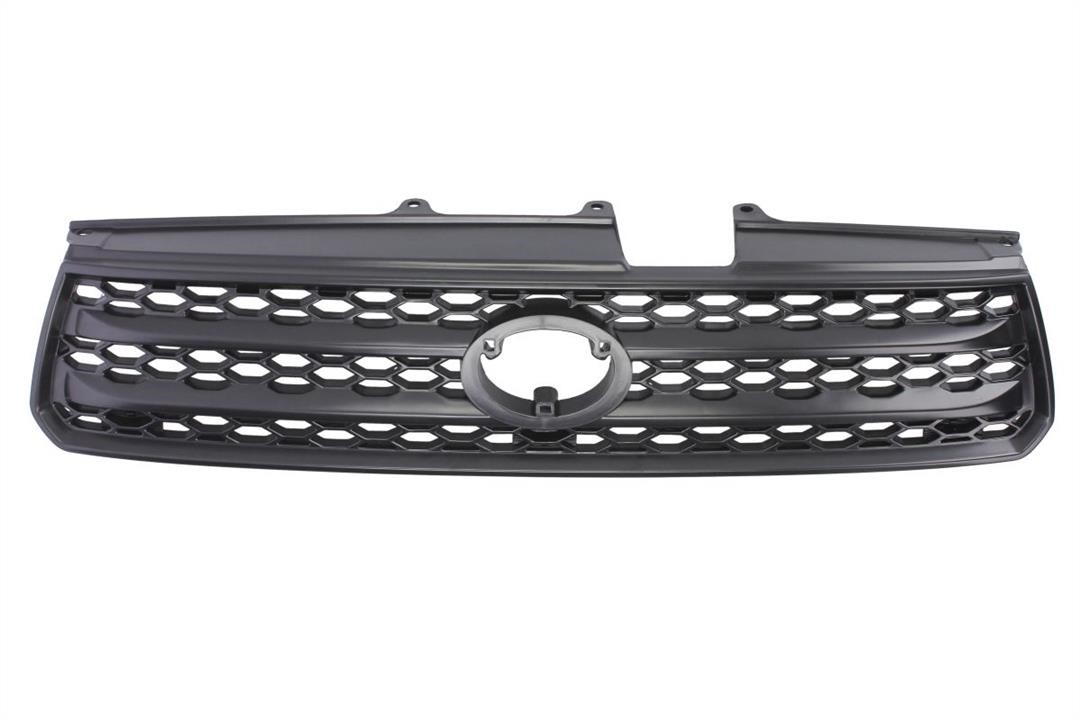 Radiator grille Toyota Rav 4: 6502078179993P Blic Grille radiator
