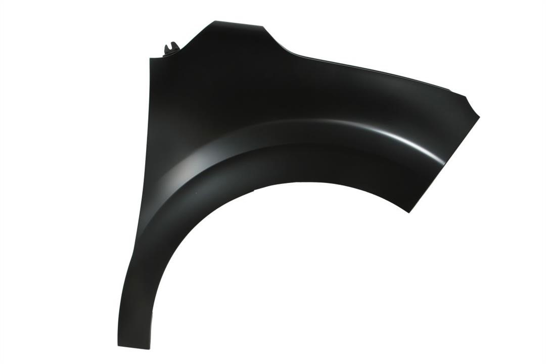 Front wing fender Citroen C3: 6504040532312P Blic Front fender right