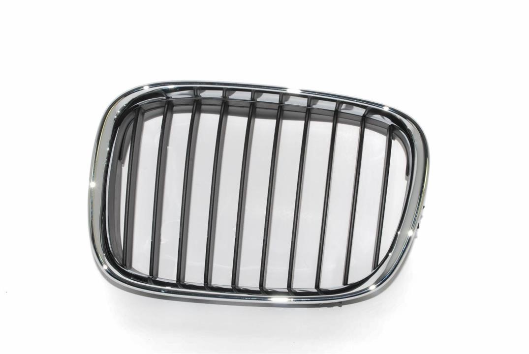 6502070065991P Blic Grille radiator