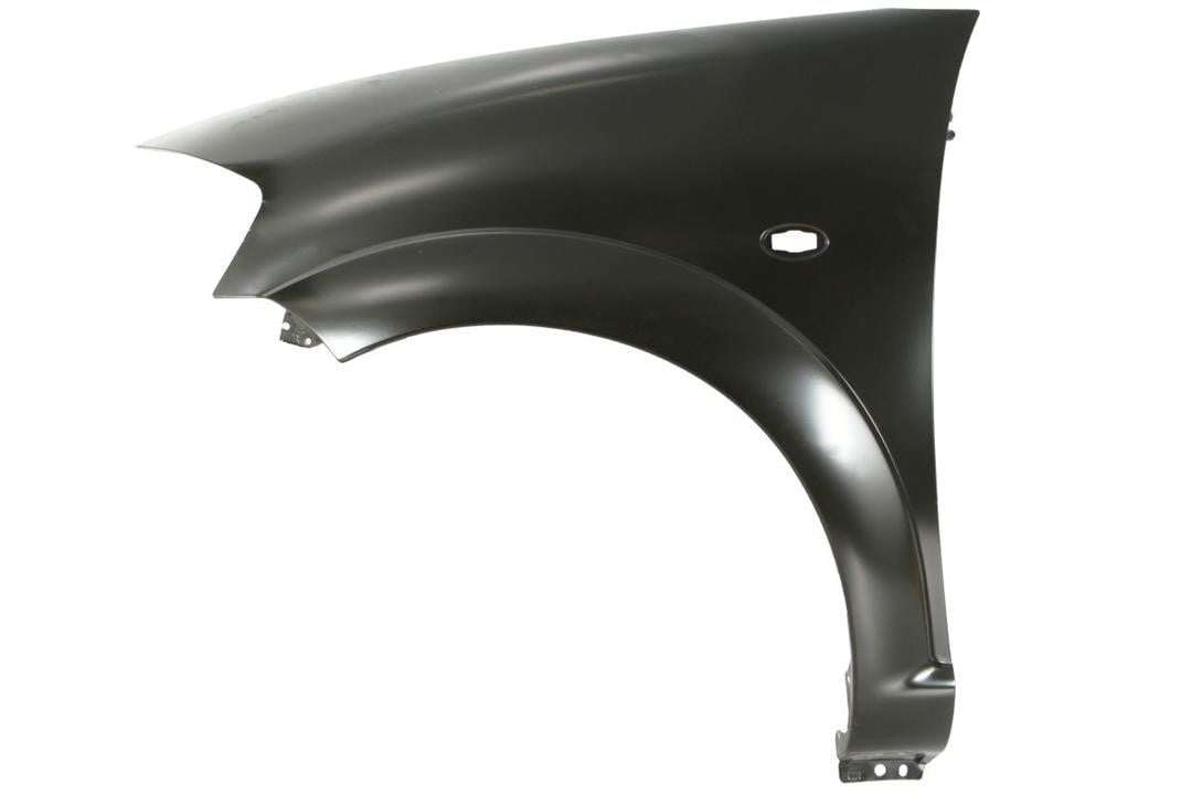 Front wing panel Citroen C3: 6504040519311Q Blic Front fender