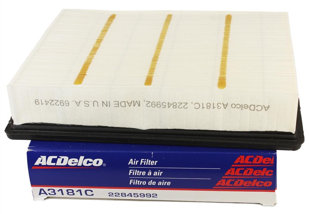 Air filter AC Delco A3181C
