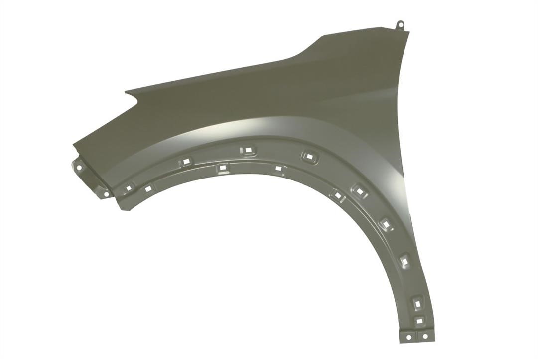 Front fender Hyundai Tucson: 6504043177311P Blic Front fender