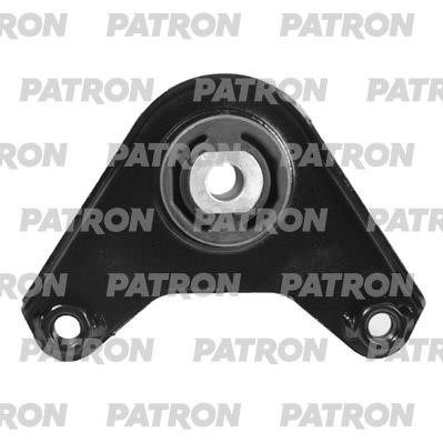 Patron PSE3987 Mounting, differential PSE3987