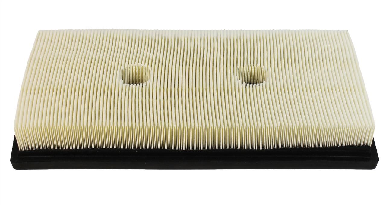 Champion CAF100869P Air filter CAF100869P