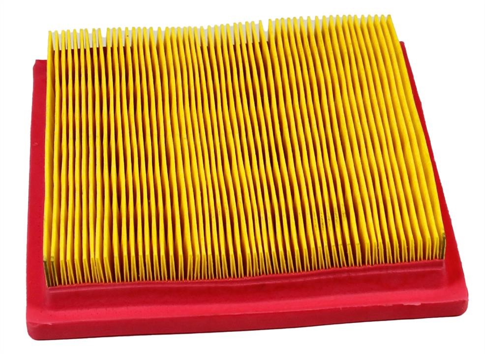 Champion CAF100619P Air filter CAF100619P