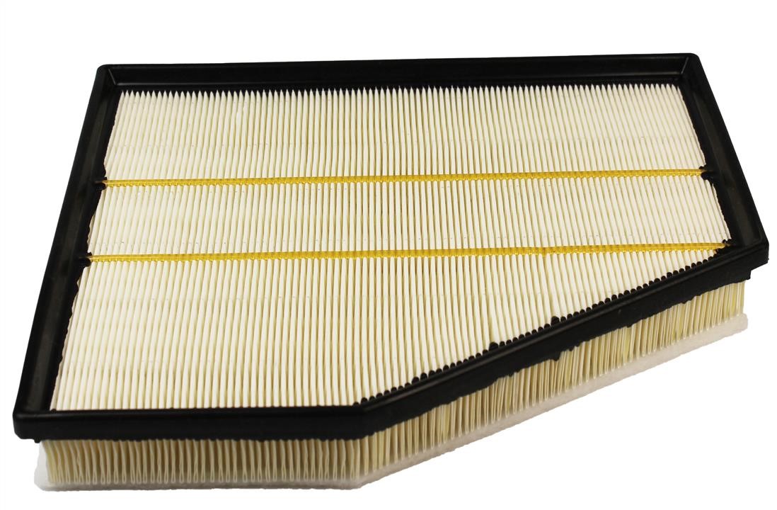 Champion CAF100934P Air filter CAF100934P