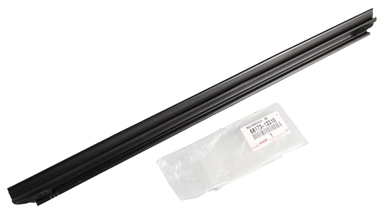 Rear glass molding Toyota 68173-12310