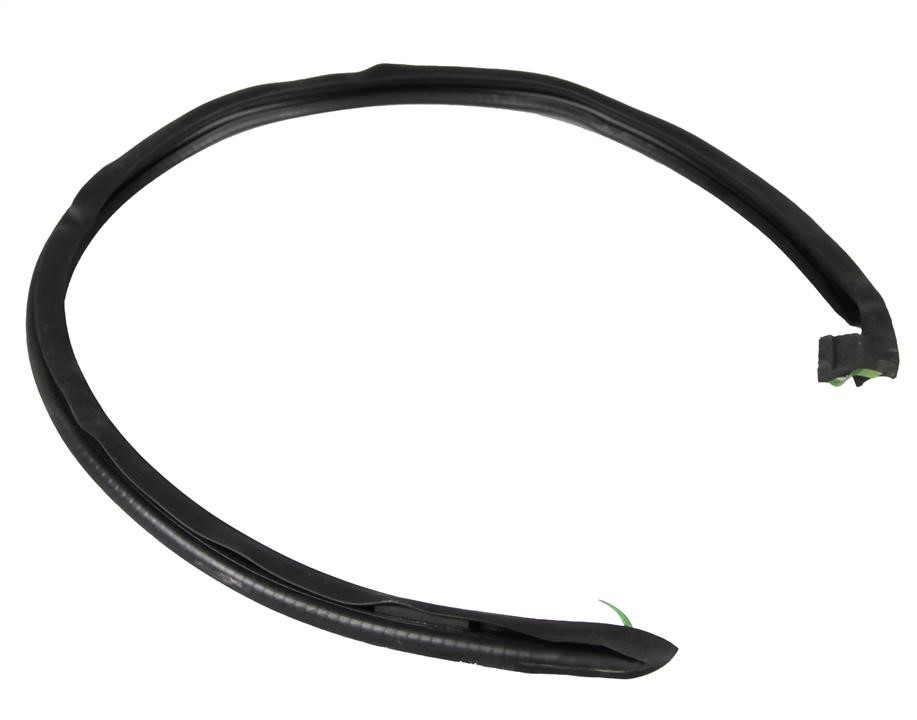 82838CG000 Nissan Door seal