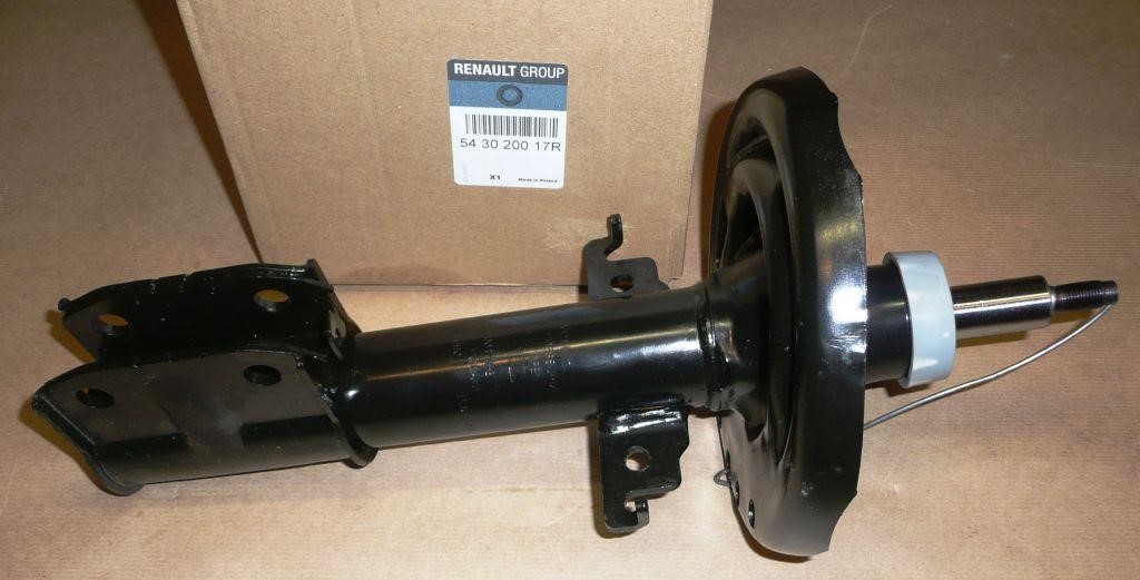 Shock absorber assy Renault 54 30 200 17R