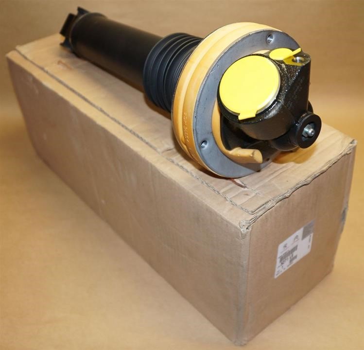 Shock absorber assy Citroen/Peugeot 5271 L6