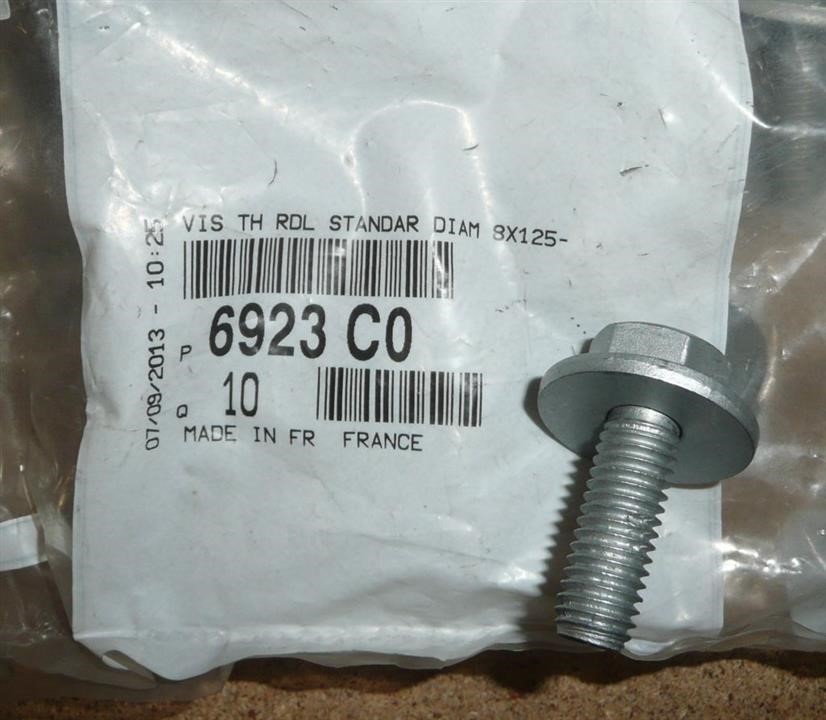 6923C0 Citroen/Peugeot Idler roller bolt