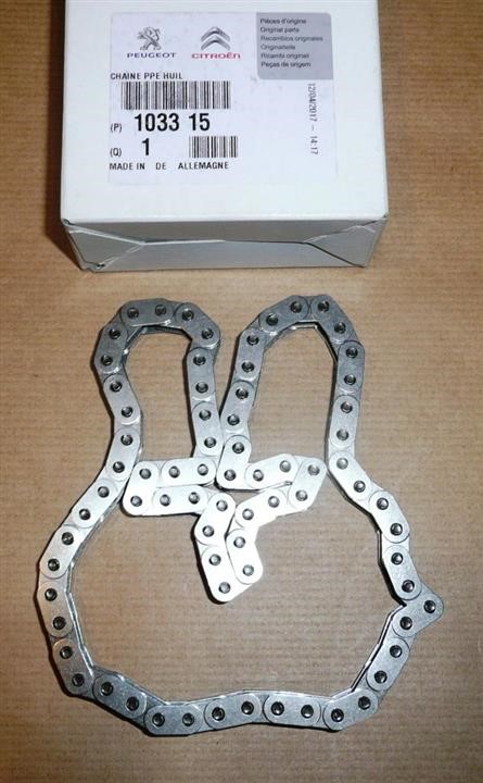 CHAIN OIL PUMP Citroen/Peugeot 1033 15