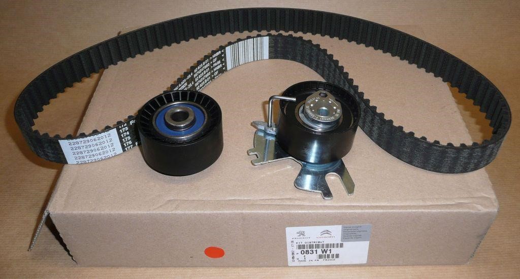 Timing belt Citroen/Peugeot 0831 W1