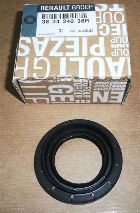 Buy Renault 38 34 240 36R at a low price in United Arab Emirates!